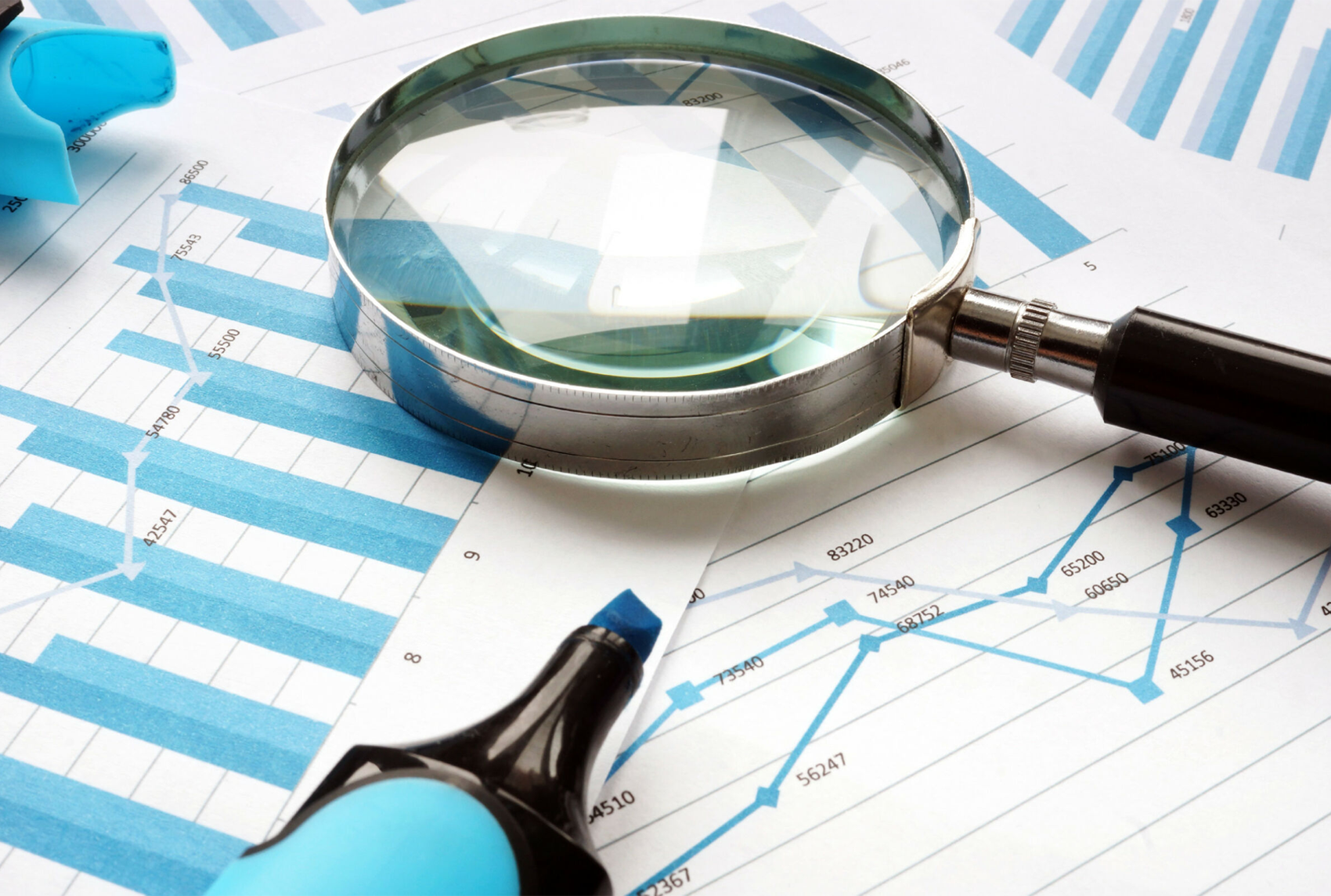 Audit & Consultancy Services